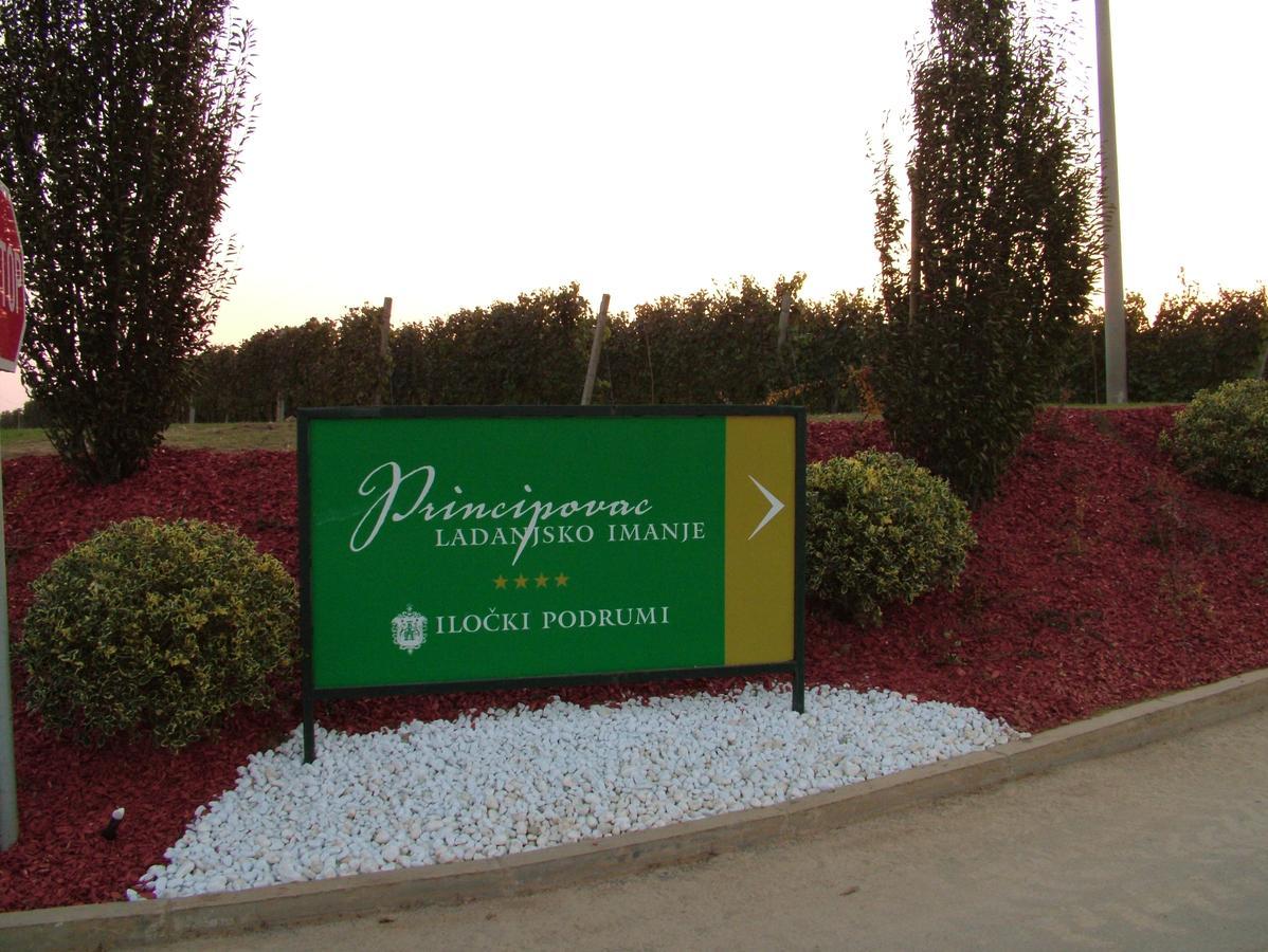 לינה וארוחת בוקר אילוק Ladanjsko Imanje Principovac מראה חיצוני תמונה